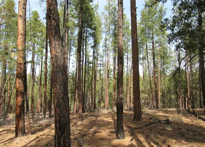 Holiday home Forest 4 Cowboys Dream Payson