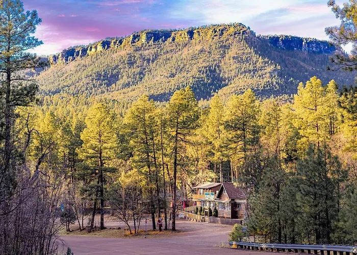 Forest 4 Cowboys Dream * Payson