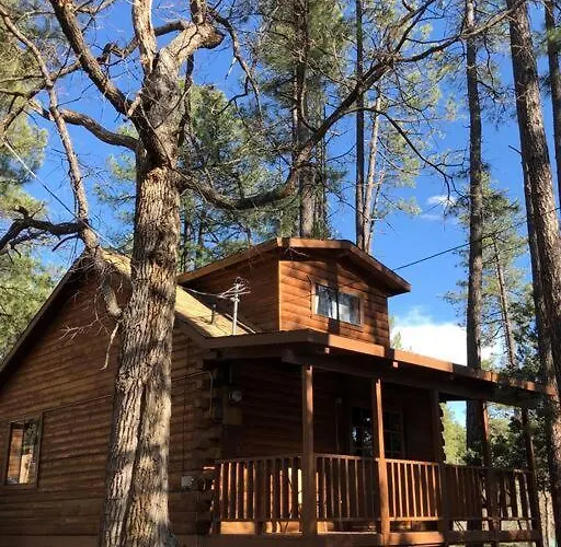 Forest 4 Cowboys Dream * Payson